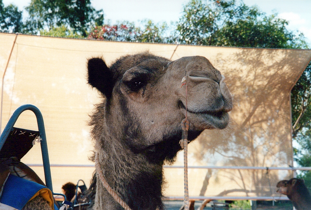 2000 - Australie 200T.jpg